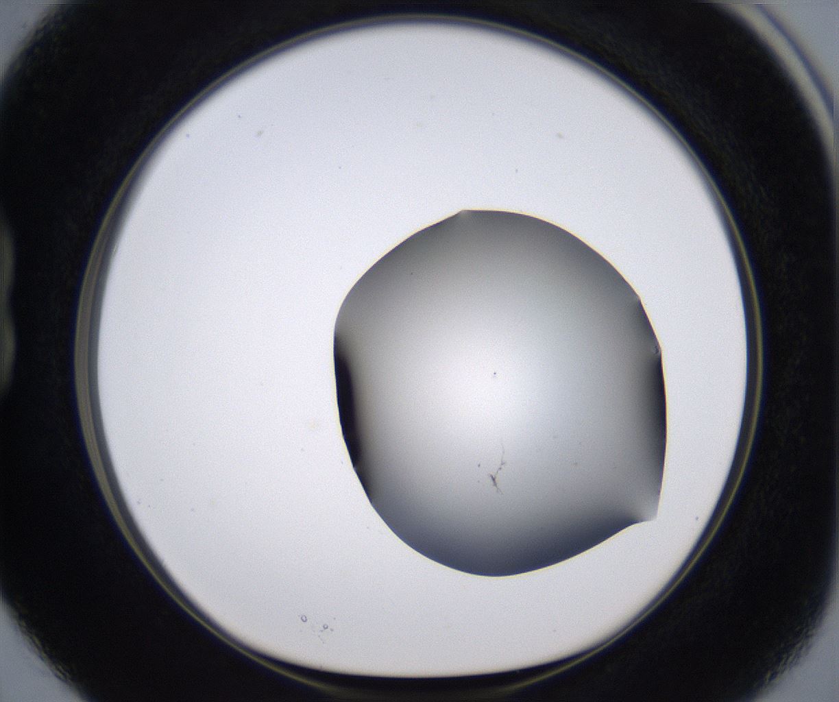 folderID267_plateID2267_batchID10355_wellNum15_profileID1_d1_r157790_ef.jpg