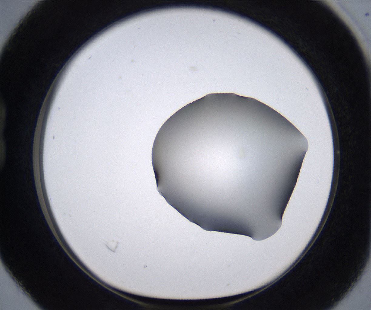 folderID267_plateID2267_batchID10355_wellNum16_profileID1_d1_r157792_ef.jpg