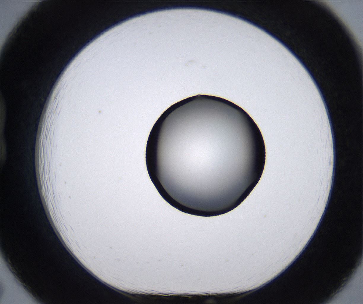 folderID267_plateID2267_batchID10355_wellNum19_profileID1_d1_r157798_ef.jpg