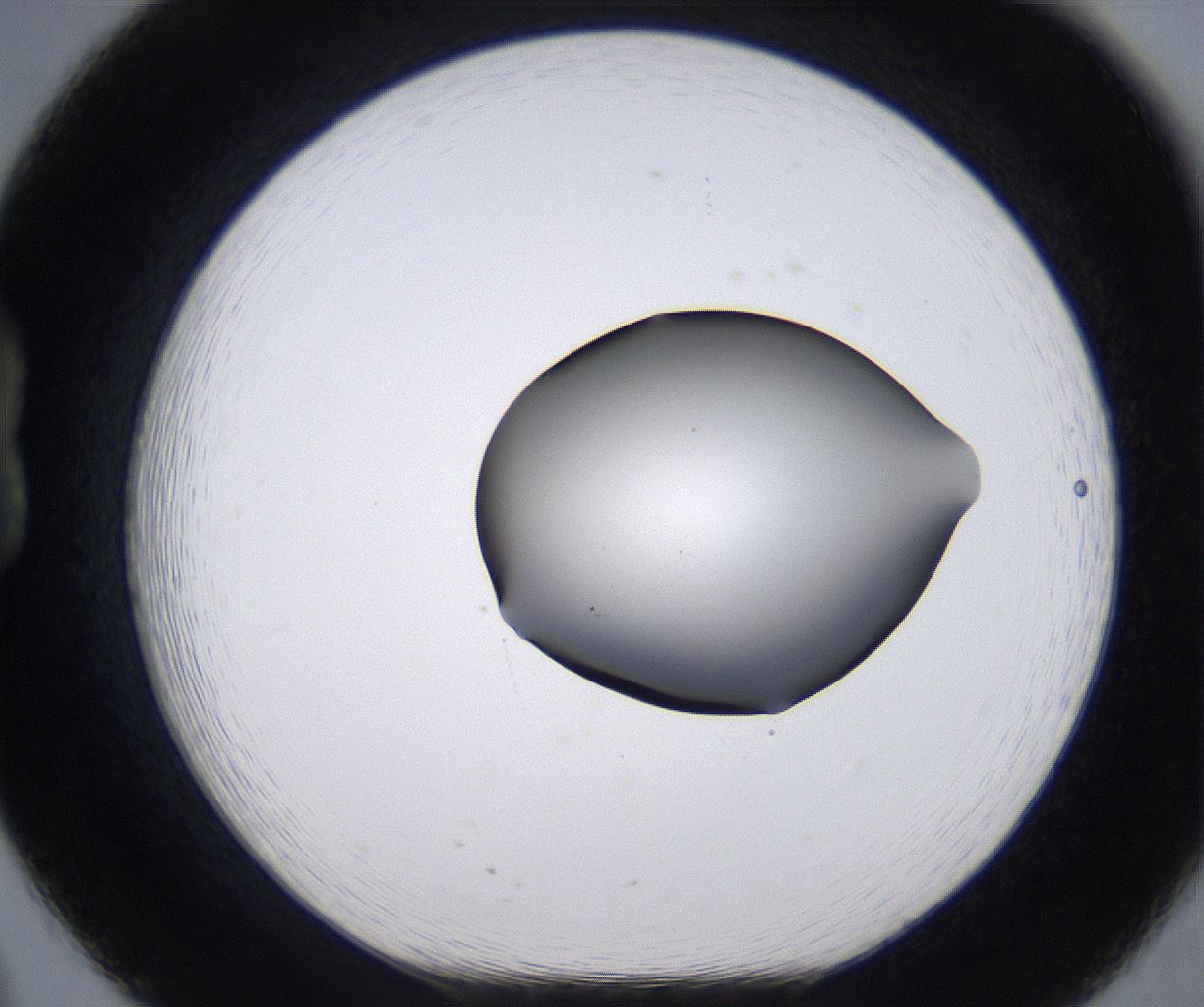 folderID267_plateID2267_batchID10355_wellNum20_profileID1_d1_r157800_ef.jpg