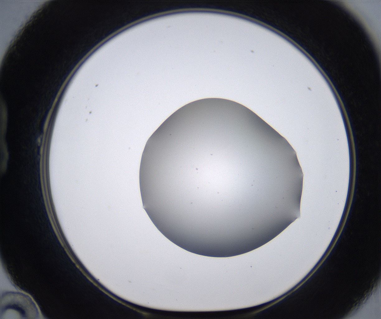 folderID267_plateID2267_batchID10355_wellNum22_profileID1_d1_r157804_ef.jpg