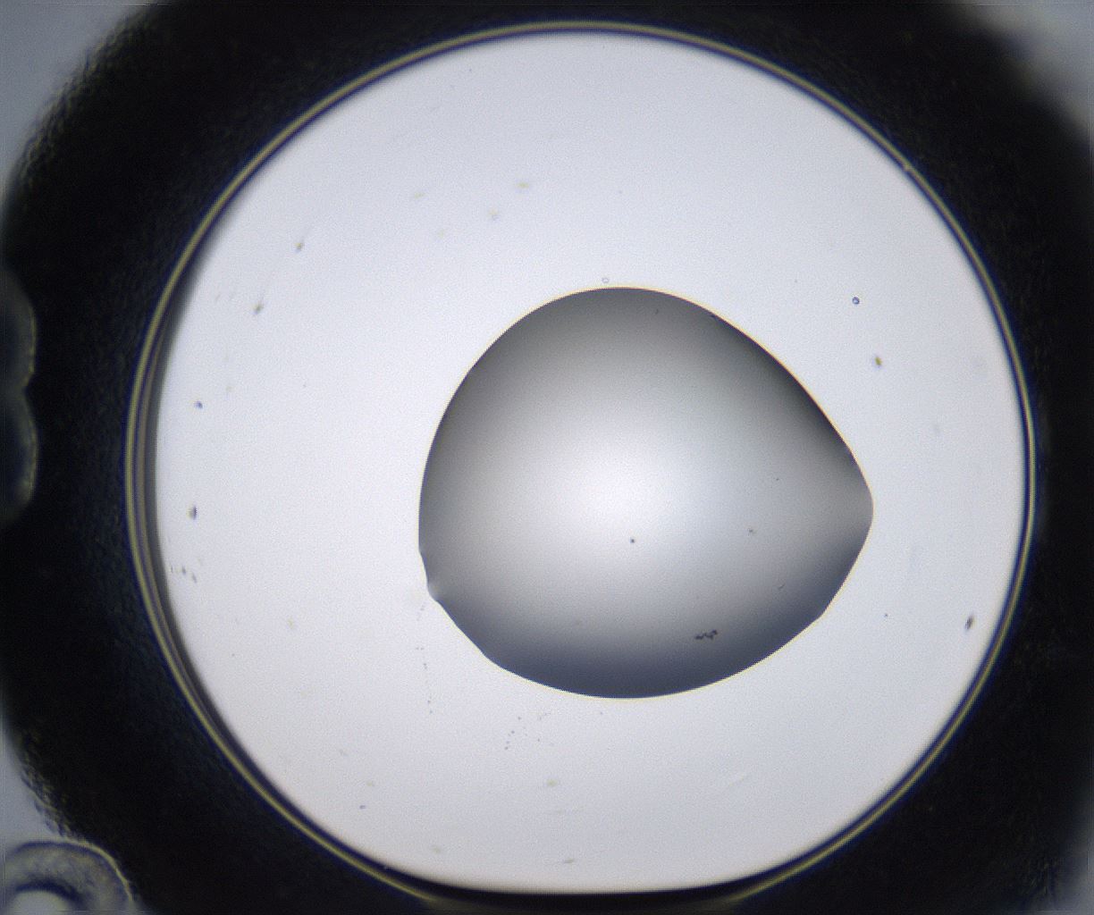 folderID267_plateID2267_batchID10355_wellNum24_profileID1_d1_r157808_ef.jpg