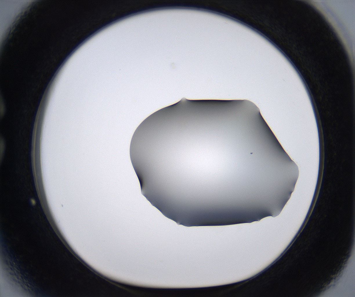 folderID267_plateID2267_batchID10355_wellNum27_profileID1_d1_r157814_ef.jpg