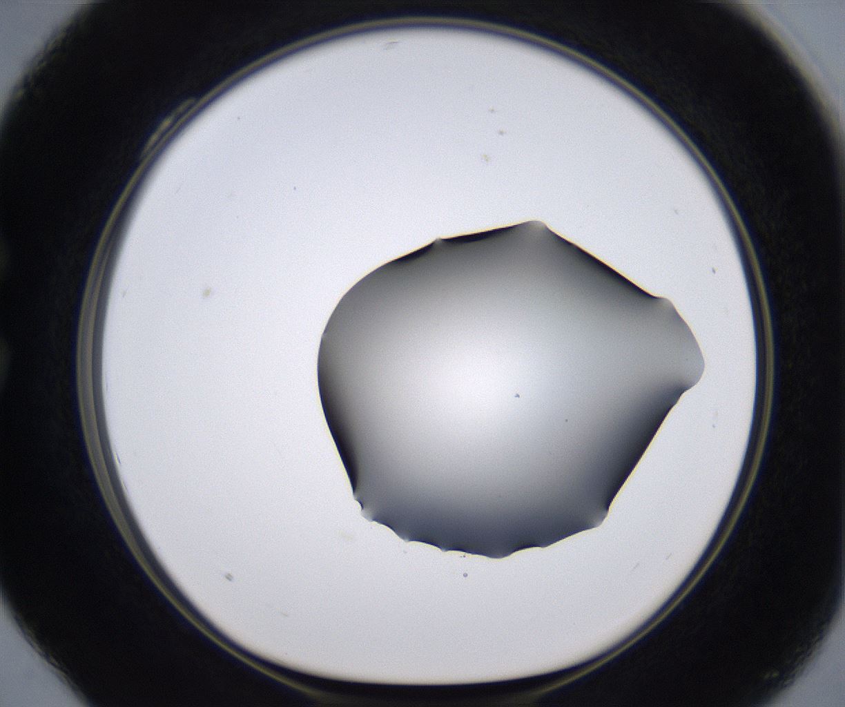 folderID267_plateID2267_batchID10355_wellNum28_profileID1_d1_r157816_ef.jpg