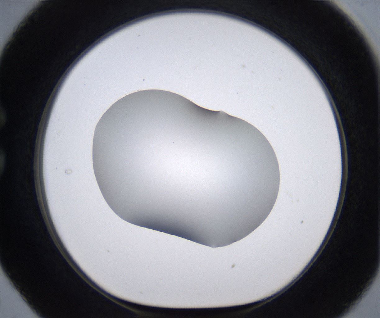 folderID267_plateID2267_batchID10355_wellNum29_profileID1_d1_r157818_ef.jpg