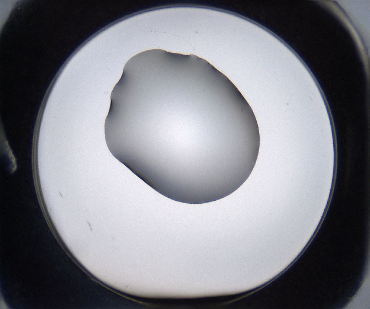 folderID267_plateID2267_batchID10355_wellNum2_profileID1_d1_r157764_ef.jpg