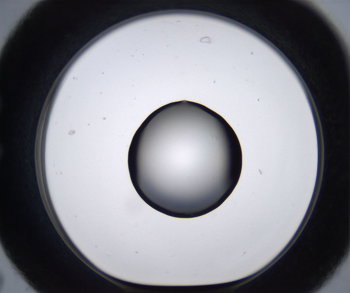 folderID267_plateID2267_batchID10355_wellNum31_profileID1_d1_r157822_ef.jpg