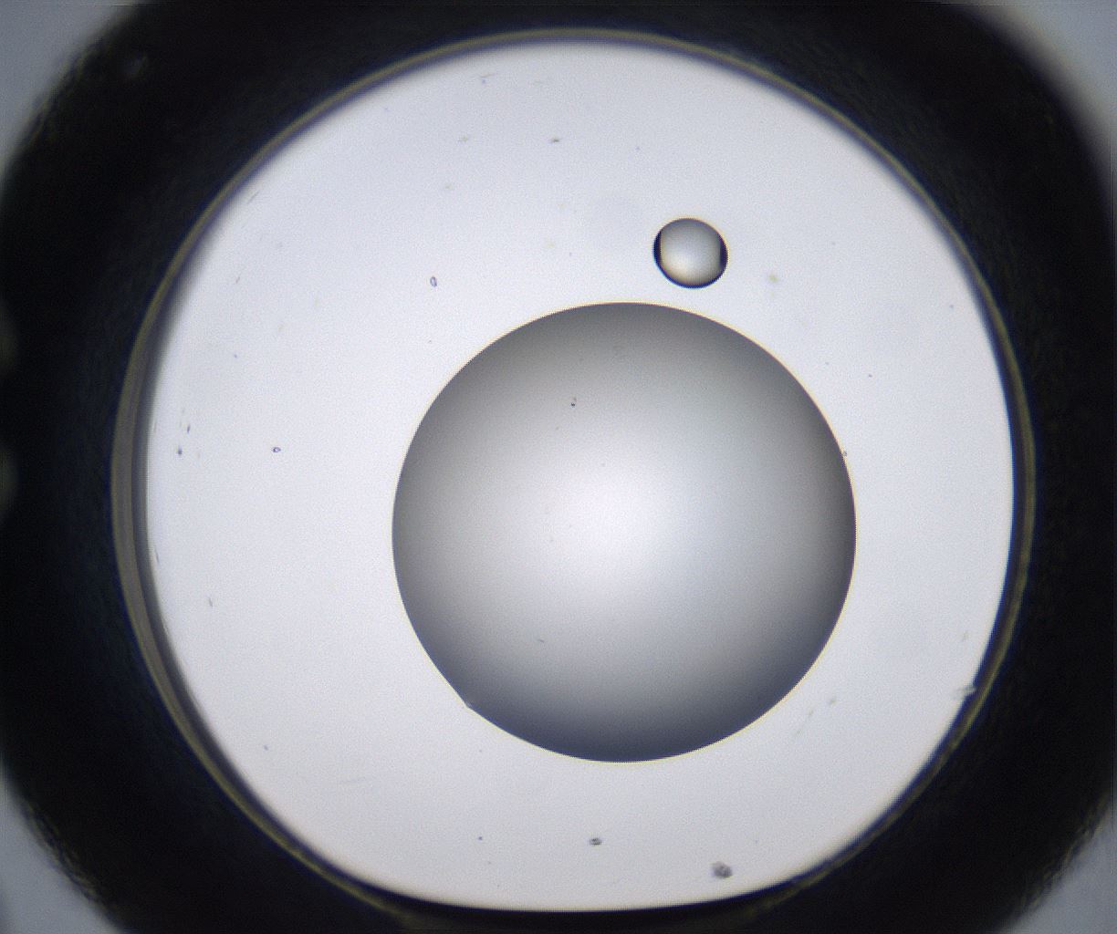 folderID267_plateID2267_batchID10355_wellNum32_profileID1_d1_r157824_ef.jpg