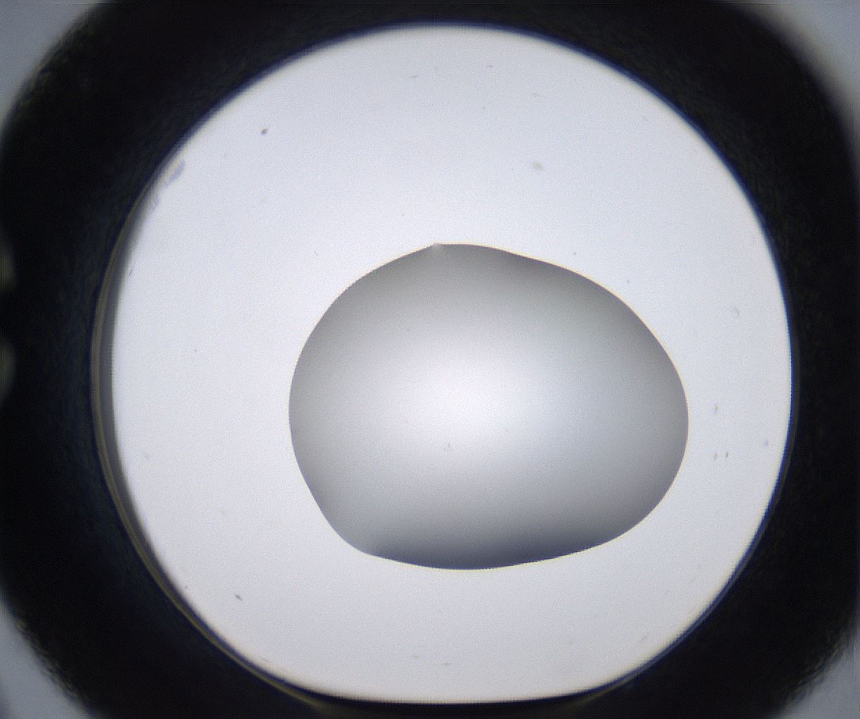 folderID267_plateID2267_batchID10355_wellNum33_profileID1_d1_r157826_ef.jpg