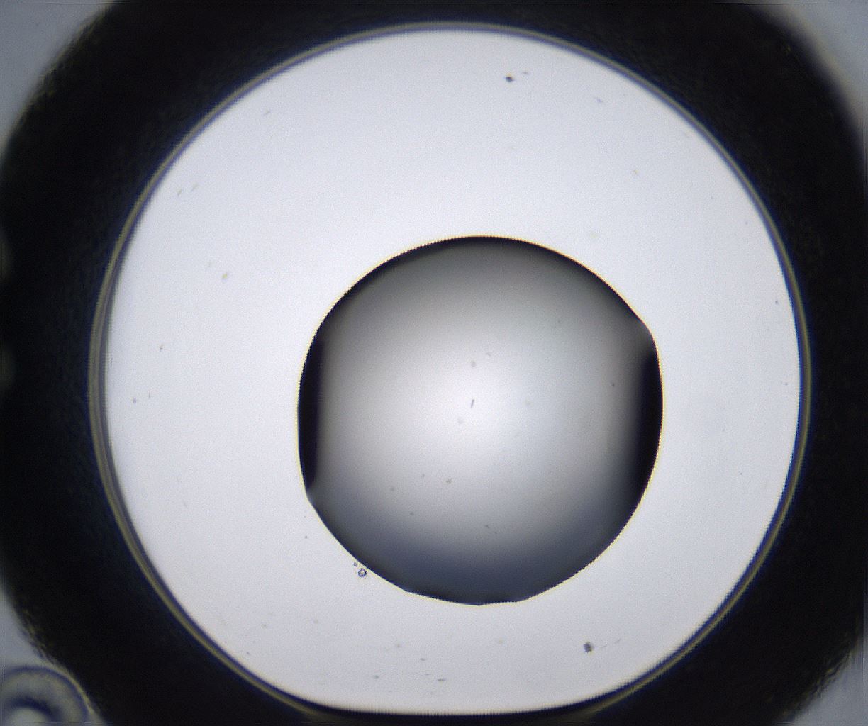 folderID267_plateID2267_batchID10355_wellNum34_profileID1_d1_r157828_ef.jpg