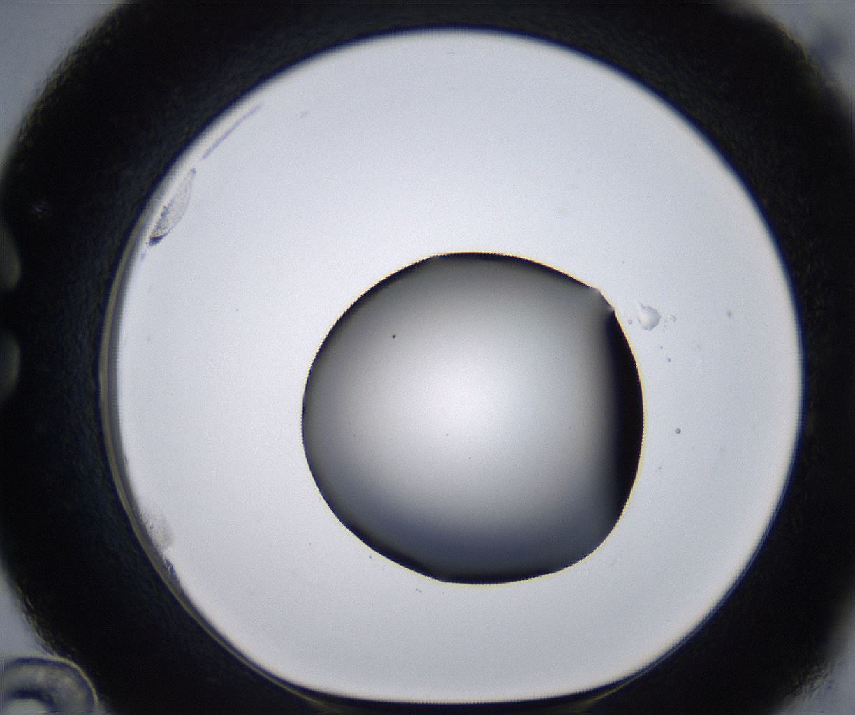 folderID267_plateID2267_batchID10355_wellNum36_profileID1_d1_r157832_ef.jpg