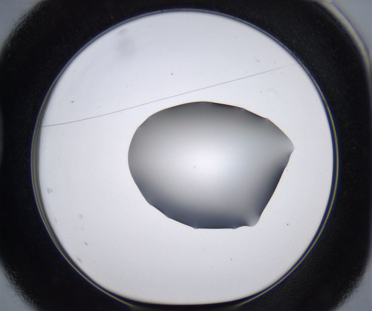 folderID267_plateID2267_batchID10355_wellNum37_profileID1_d1_r157834_ef.jpg
