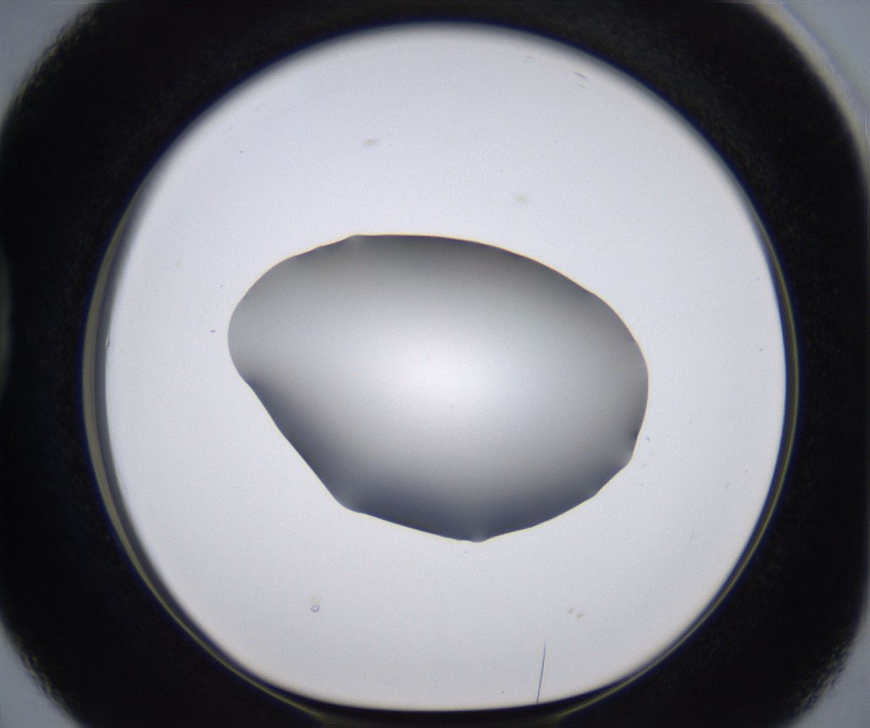 folderID267_plateID2267_batchID10355_wellNum38_profileID1_d1_r157836_ef.jpg