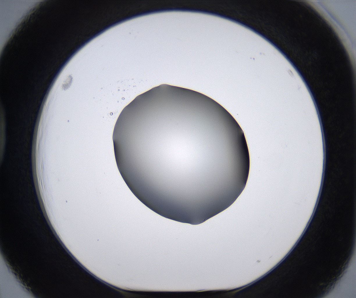 folderID267_plateID2267_batchID10355_wellNum39_profileID1_d1_r157838_ef.jpg