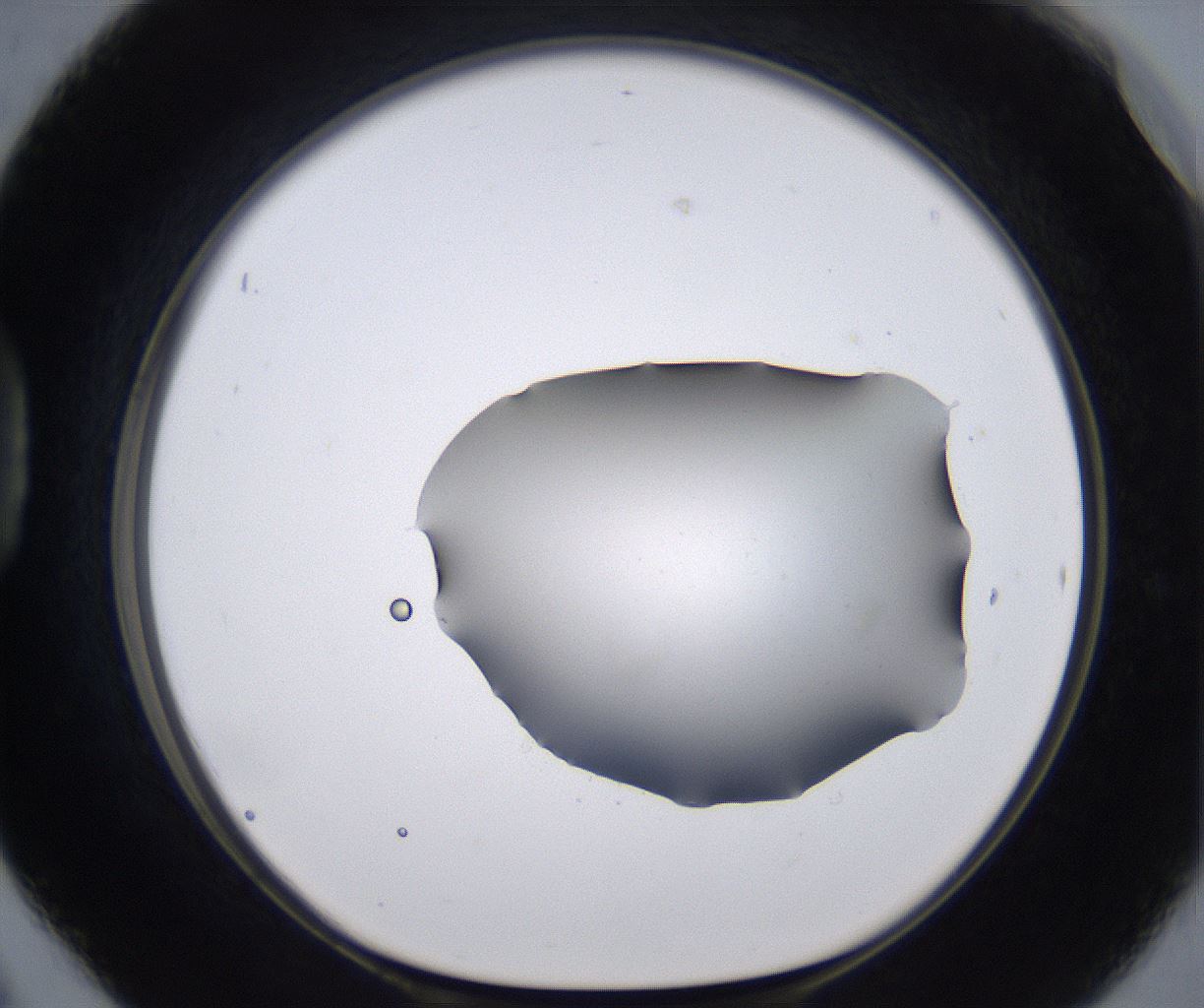 folderID267_plateID2267_batchID10355_wellNum42_profileID1_d1_r157844_ef.jpg