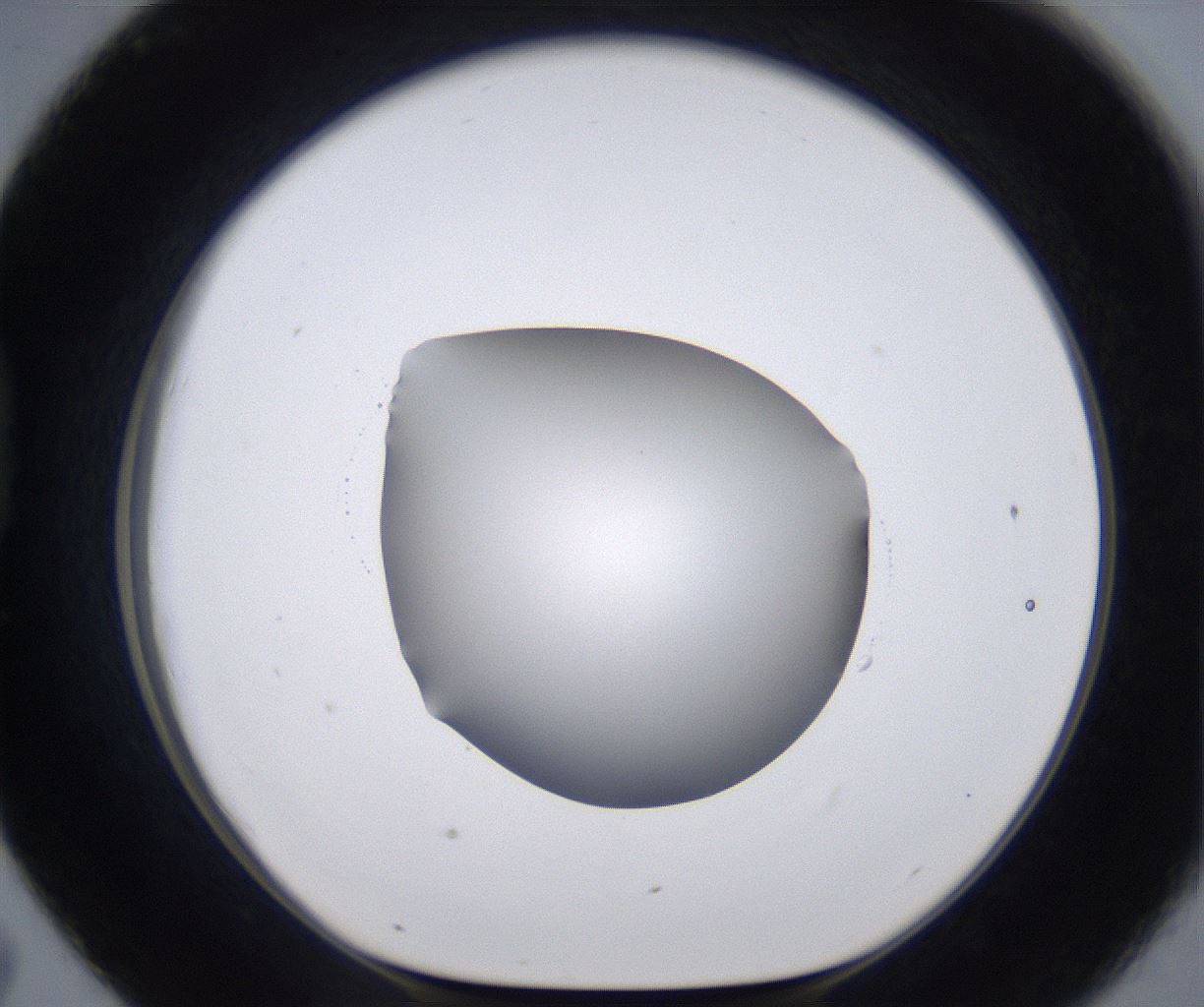 folderID267_plateID2267_batchID10355_wellNum43_profileID1_d1_r157846_ef.jpg