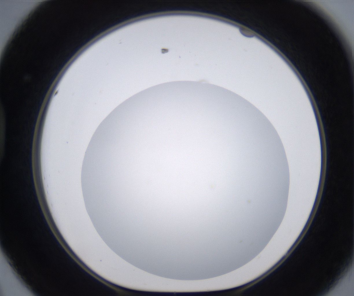 folderID267_plateID2267_batchID10355_wellNum44_profileID1_d1_r157848_ef.jpg