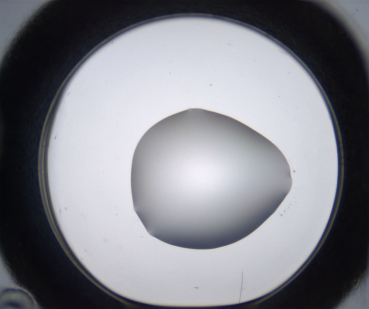 folderID267_plateID2267_batchID10355_wellNum46_profileID1_d1_r157852_ef.jpg