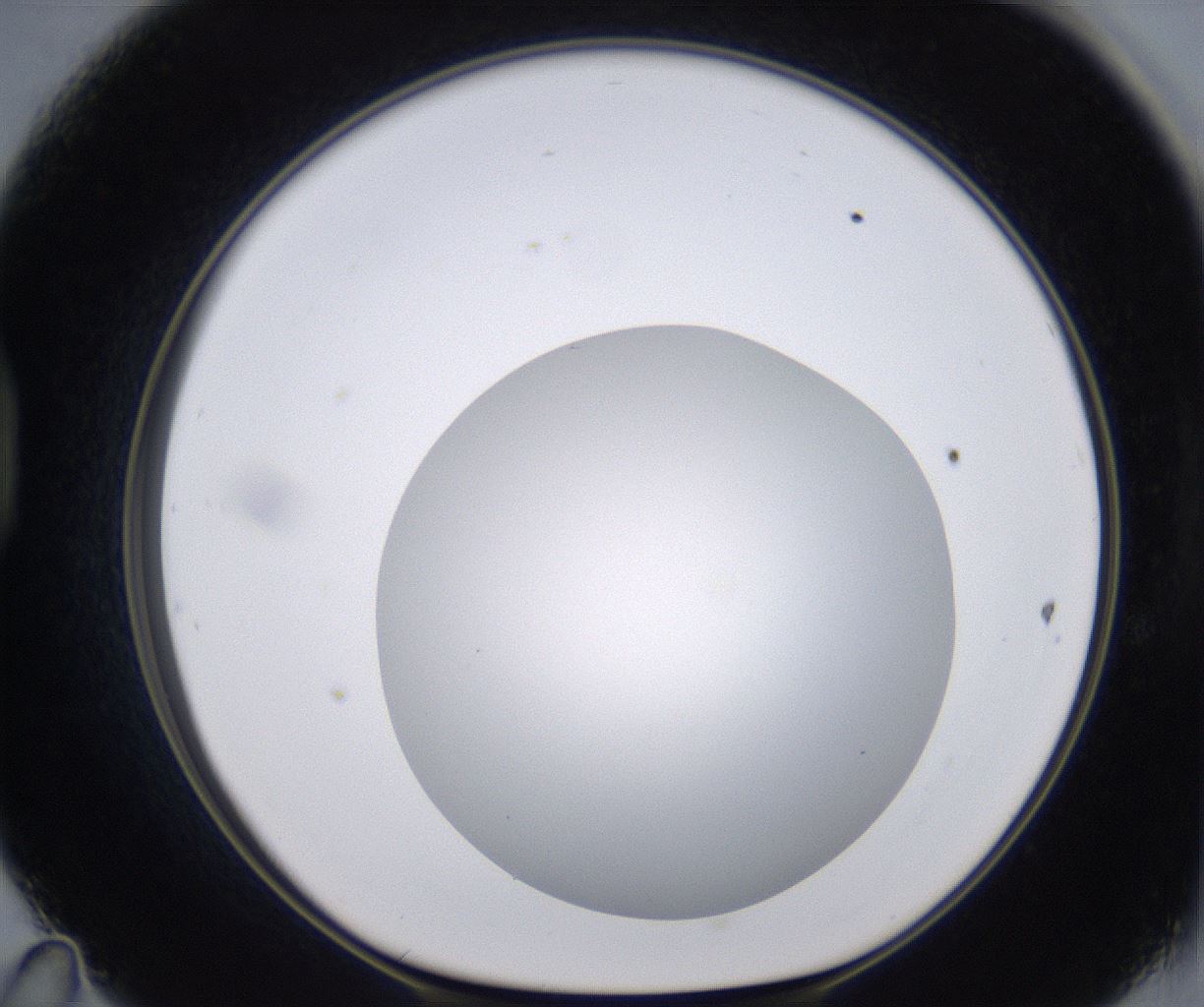 folderID267_plateID2267_batchID10355_wellNum47_profileID1_d1_r157854_ef.jpg