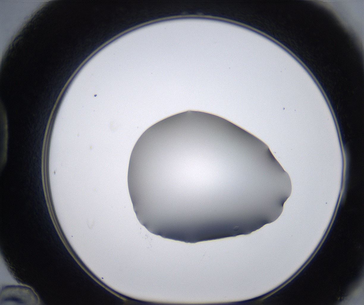 folderID267_plateID2267_batchID10355_wellNum48_profileID1_d1_r157856_ef.jpg