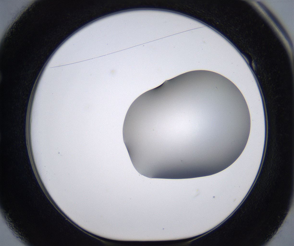 folderID267_plateID2267_batchID10355_wellNum49_profileID1_d1_r157858_ef.jpg