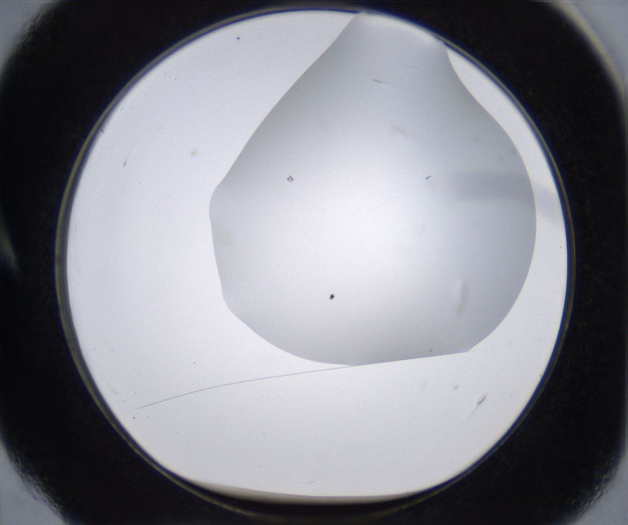 folderID267_plateID2267_batchID10355_wellNum4_profileID1_d1_r157768_ef.jpg