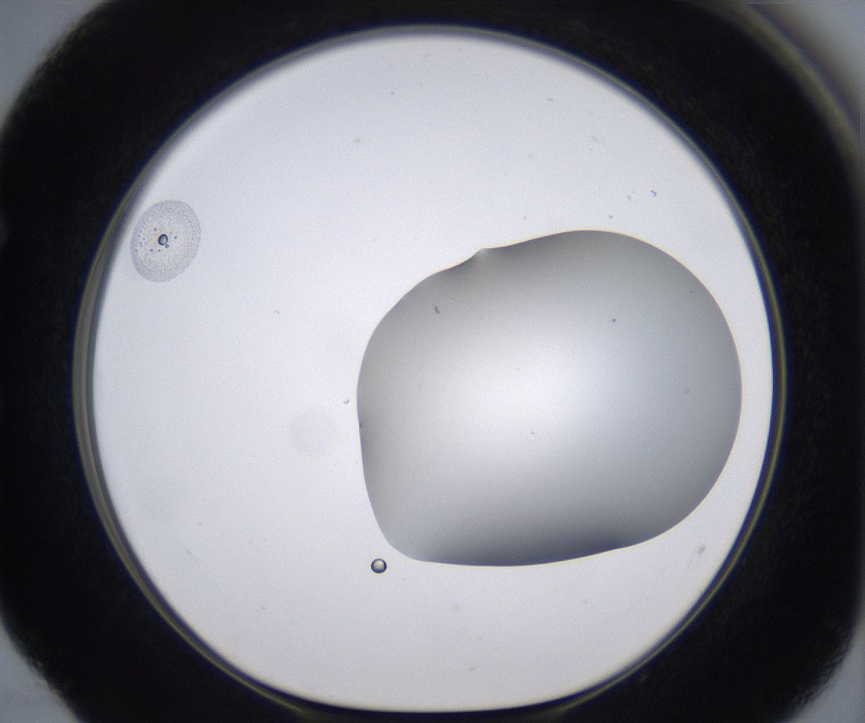 folderID267_plateID2267_batchID10355_wellNum52_profileID1_d1_r157864_ef.jpg