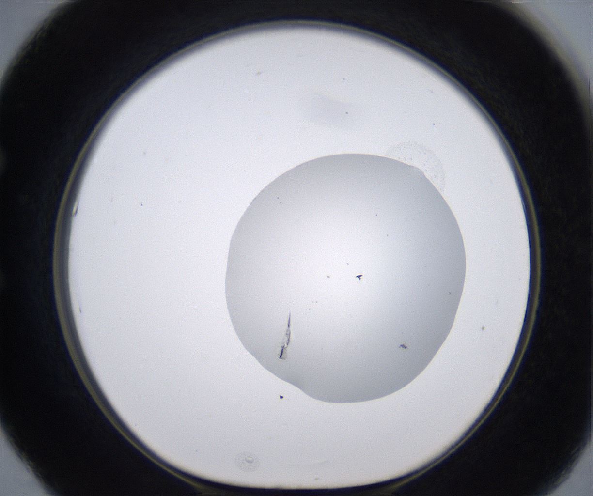 folderID267_plateID2267_batchID10355_wellNum53_profileID1_d1_r157866_ef.jpg