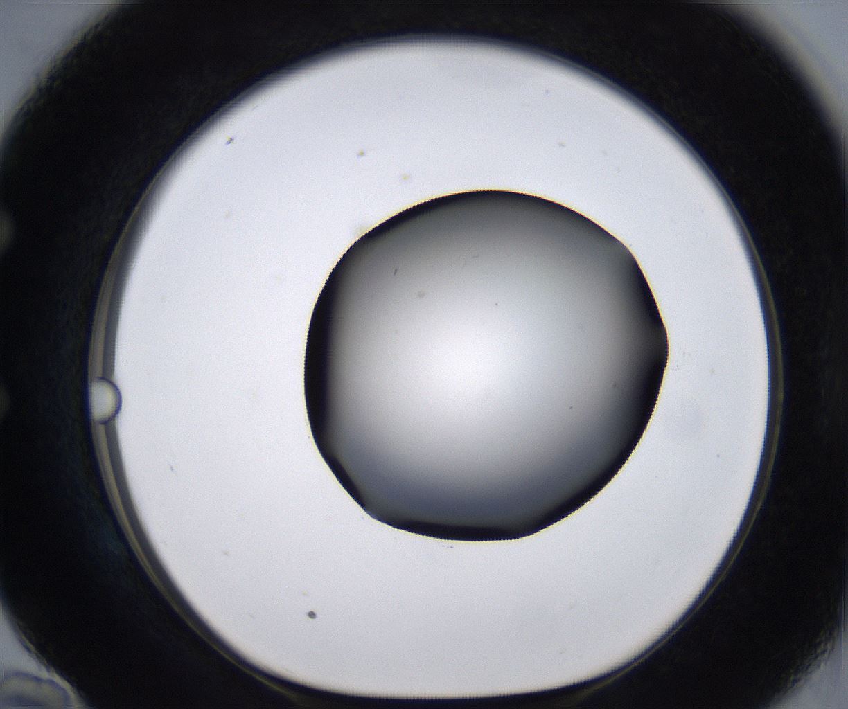 folderID267_plateID2267_batchID10355_wellNum58_profileID1_d1_r157876_ef.jpg