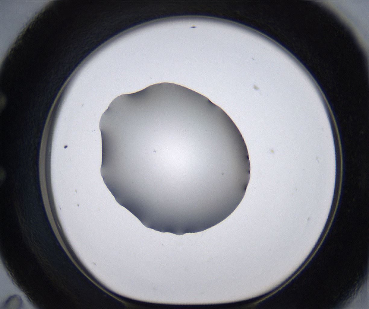 folderID267_plateID2267_batchID10355_wellNum59_profileID1_d1_r157878_ef.jpg