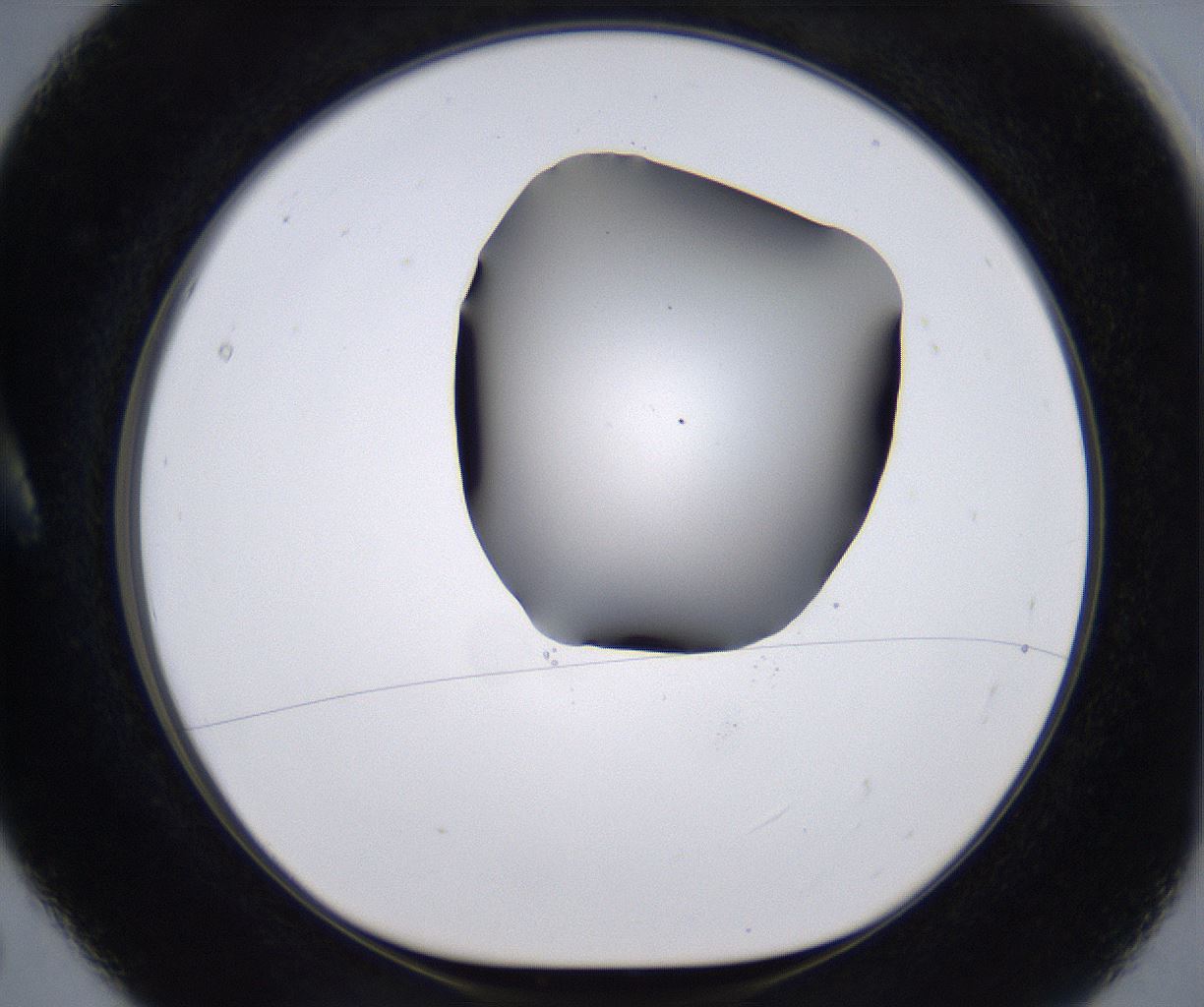 folderID267_plateID2267_batchID10355_wellNum5_profileID1_d1_r157770_ef.jpg