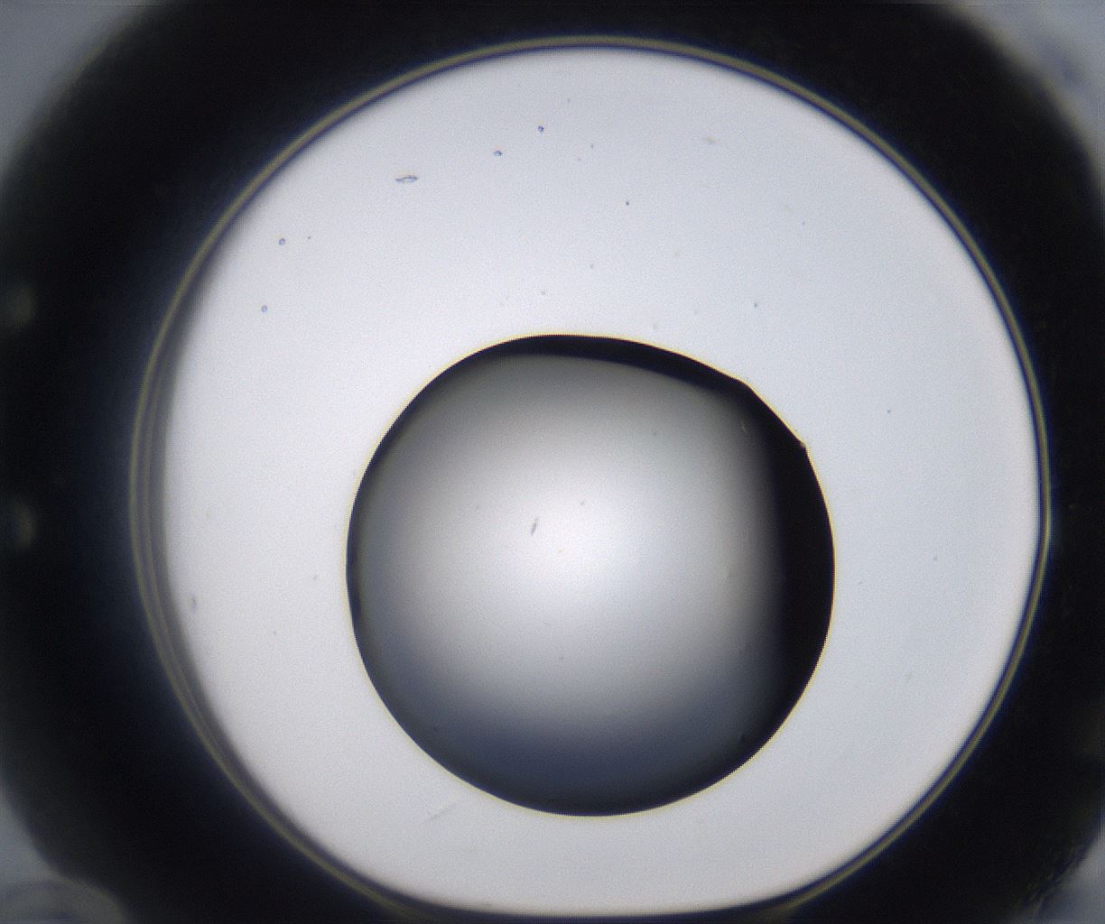 folderID267_plateID2267_batchID10355_wellNum60_profileID1_d1_r157880_ef.jpg