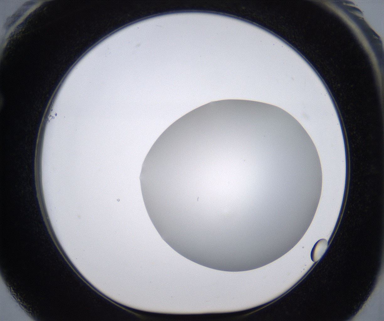 folderID267_plateID2267_batchID10355_wellNum61_profileID1_d1_r157882_ef.jpg
