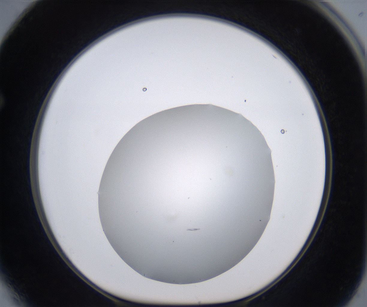 folderID267_plateID2267_batchID10355_wellNum64_profileID1_d1_r157888_ef.jpg