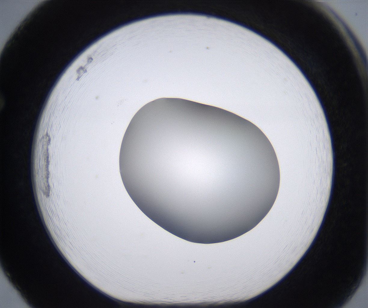 folderID267_plateID2267_batchID10355_wellNum65_profileID1_d1_r157890_ef.jpg