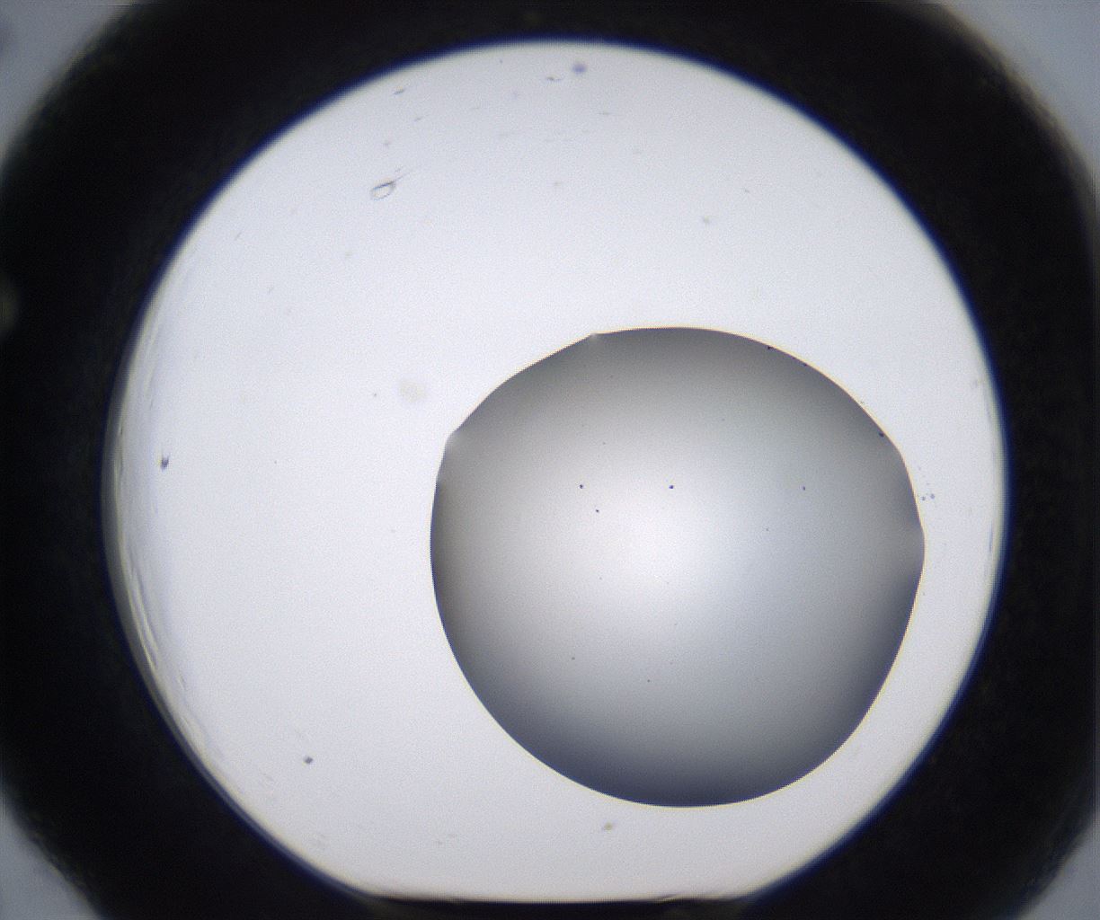 folderID267_plateID2267_batchID10355_wellNum66_profileID1_d1_r157892_ef.jpg