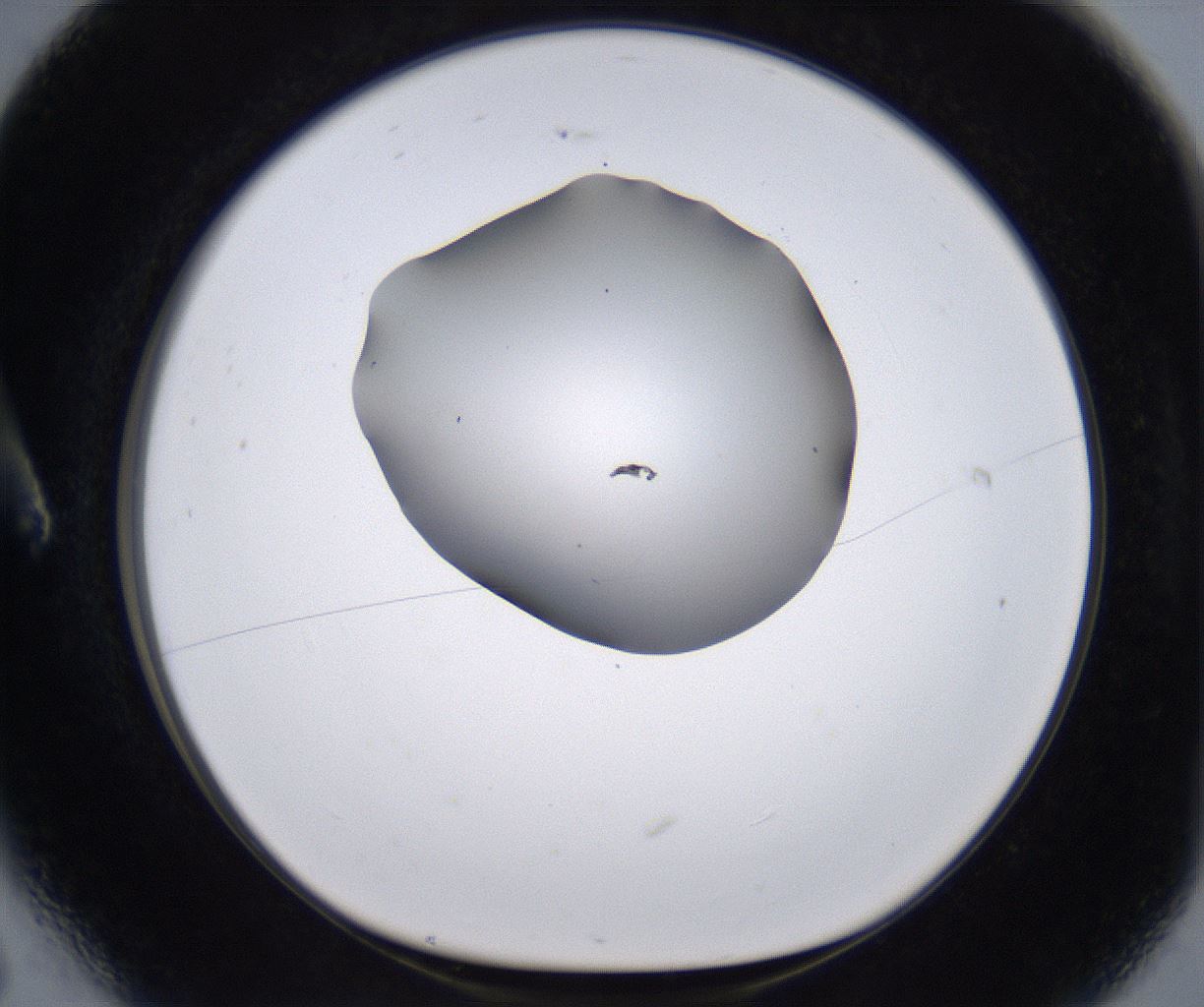 folderID267_plateID2267_batchID10355_wellNum6_profileID1_d1_r157772_ef.jpg