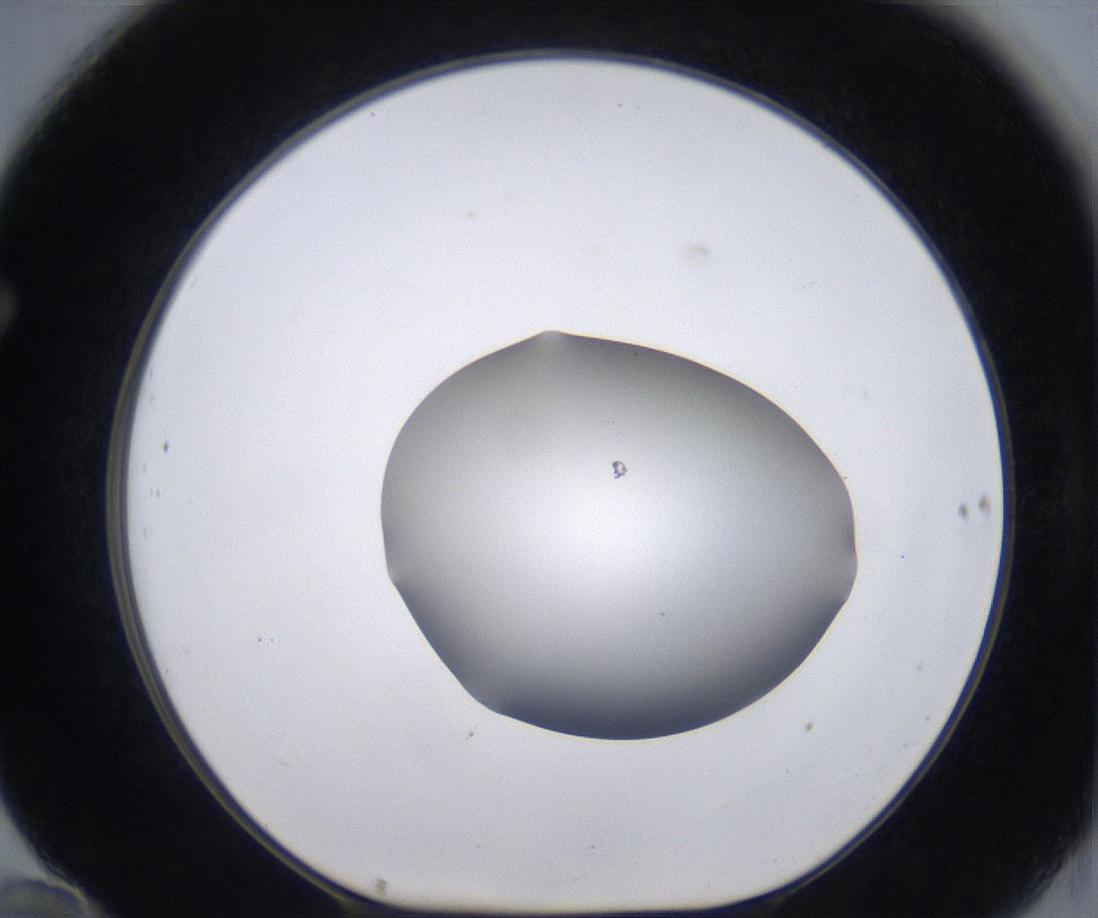 folderID267_plateID2267_batchID10355_wellNum70_profileID1_d1_r157900_ef.jpg