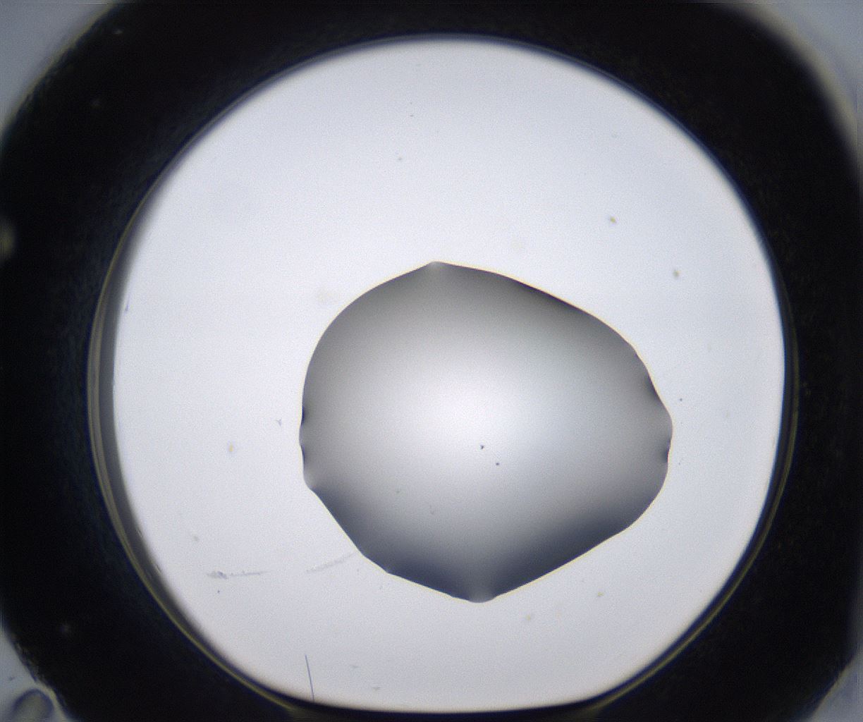 folderID267_plateID2267_batchID10355_wellNum71_profileID1_d1_r157902_ef.jpg