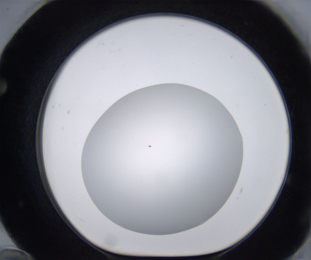 folderID267_plateID2267_batchID10355_wellNum72_profileID1_d1_r157904_ef.jpg