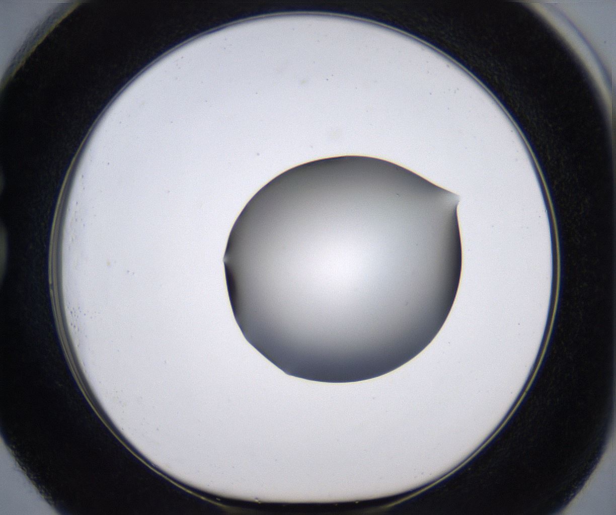 folderID267_plateID2267_batchID10355_wellNum73_profileID1_d1_r157906_ef.jpg