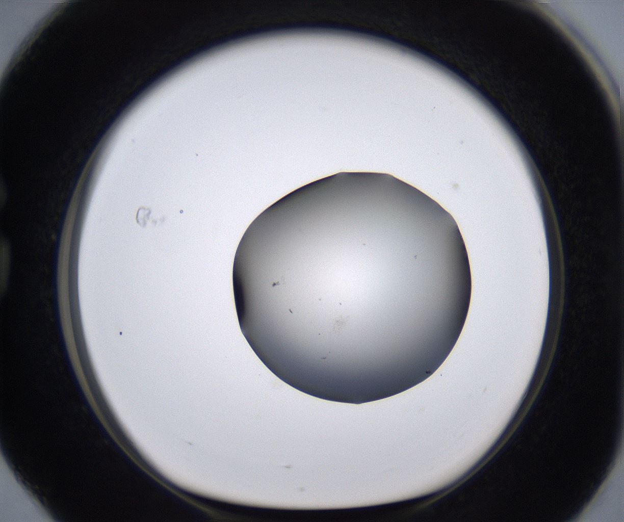 folderID267_plateID2267_batchID10355_wellNum76_profileID1_d1_r157912_ef.jpg