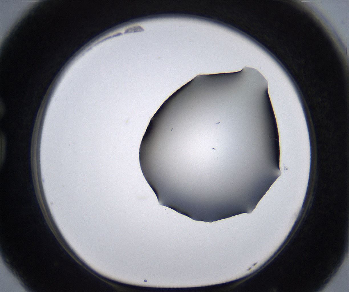 folderID267_plateID2267_batchID10355_wellNum77_profileID1_d1_r157914_ef.jpg