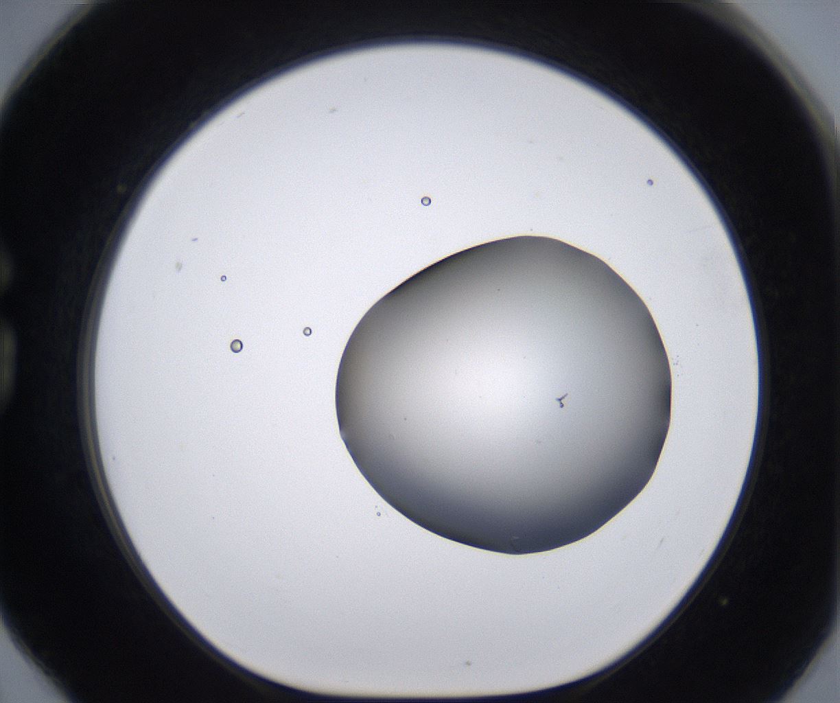 folderID267_plateID2267_batchID10355_wellNum78_profileID1_d1_r157916_ef.jpg