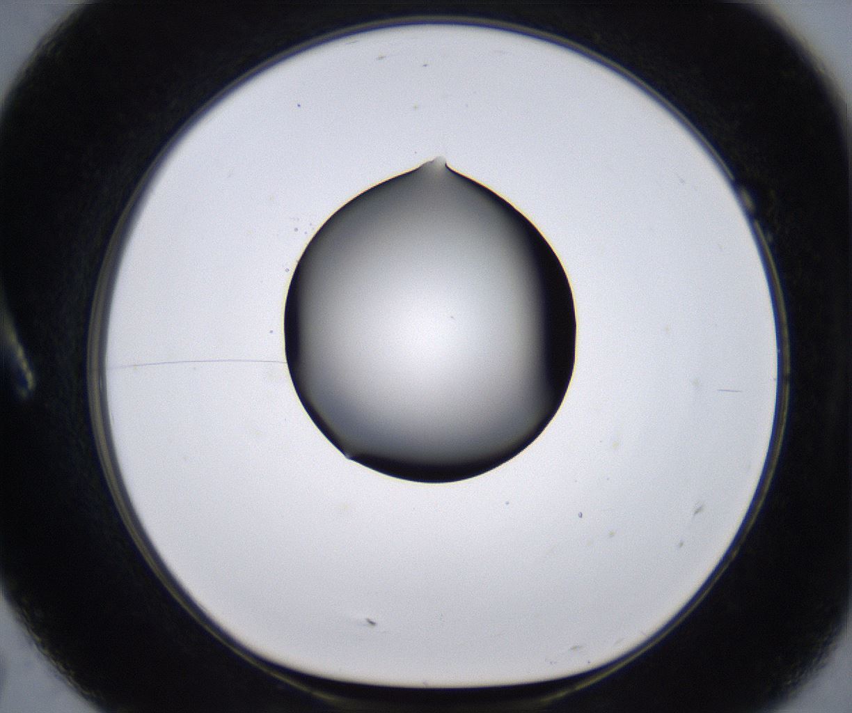 folderID267_plateID2267_batchID10355_wellNum7_profileID1_d1_r157774_ef.jpg