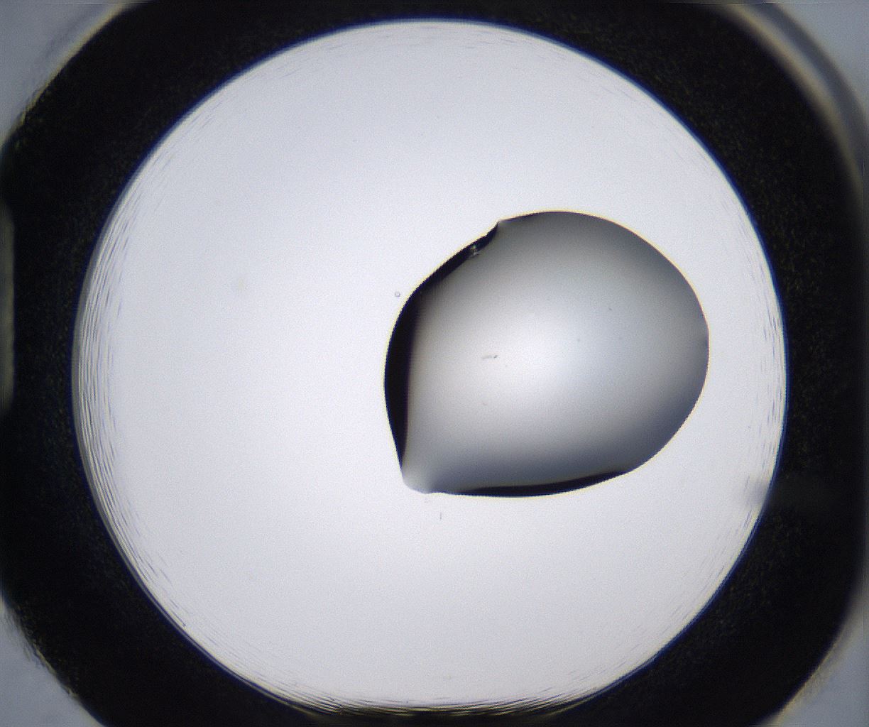 folderID267_plateID2267_batchID10355_wellNum85_profileID1_d1_r157930_ef.jpg
