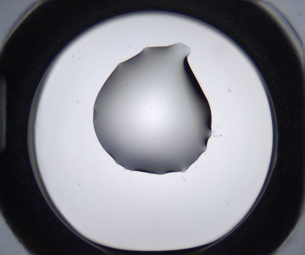 folderID267_plateID2267_batchID10355_wellNum87_profileID1_d1_r157934_ef.jpg