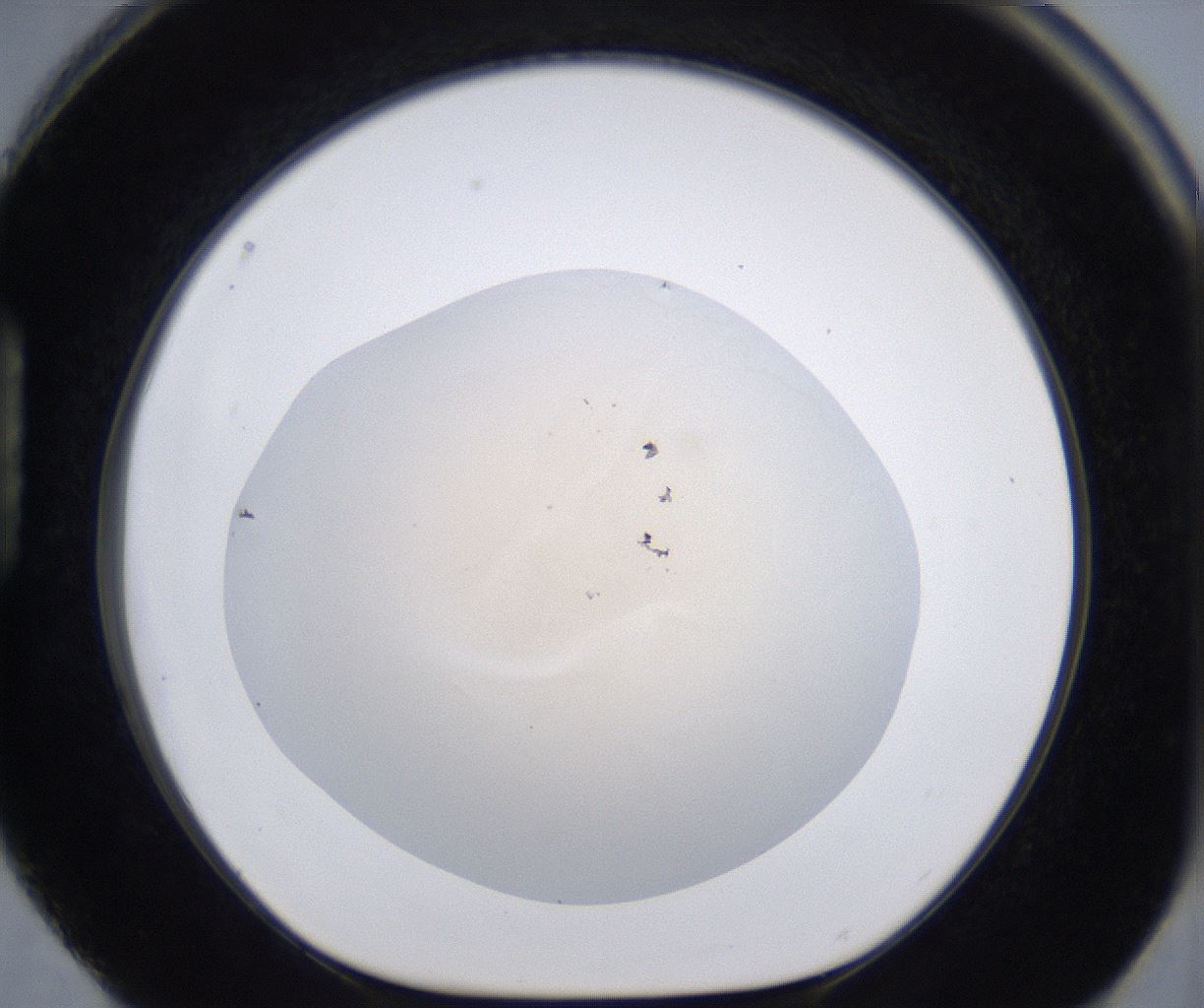 folderID267_plateID2267_batchID10355_wellNum88_profileID1_d1_r157936_ef.jpg