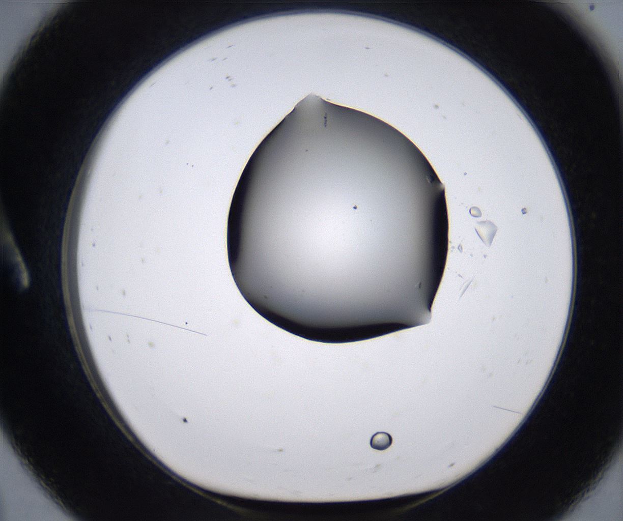 folderID267_plateID2267_batchID10355_wellNum8_profileID1_d1_r157776_ef.jpg