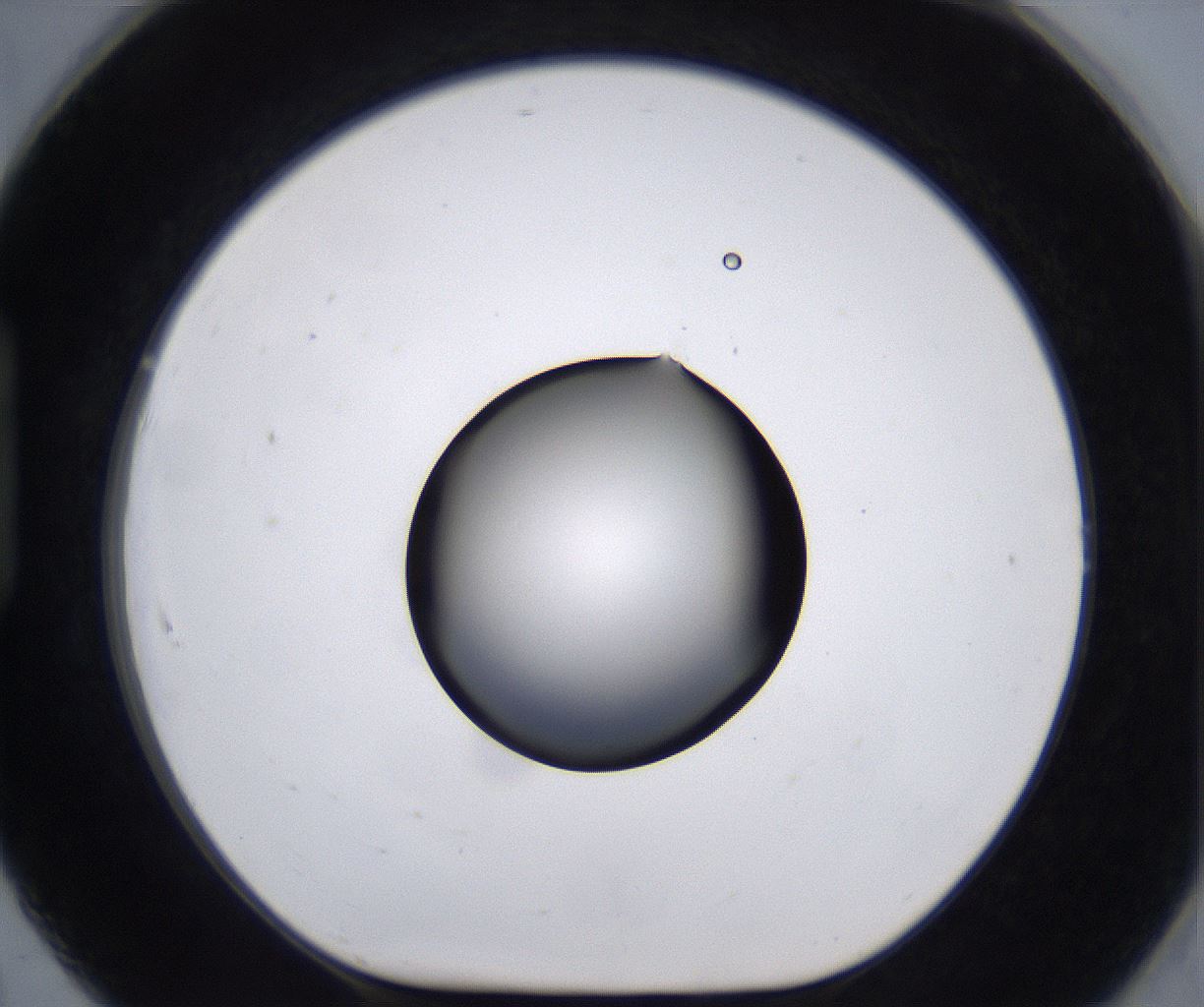 folderID267_plateID2267_batchID10355_wellNum91_profileID1_d1_r157942_ef.jpg